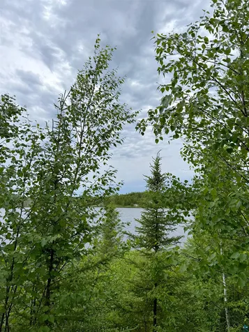 Tbd Onagon Lake Road Grand Marais MN 55604