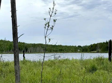 Tbd Onagon Lake Road Grand Marais MN 55604