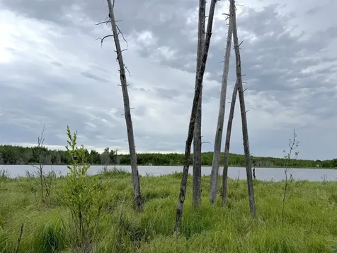 Tbd Onagon Lake Road Grand Marais MN 55604