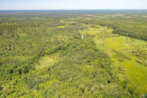 9734 Alango Road Angora MN 55703