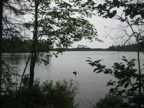 13848 Queen's Bay Road Ely MN 55731