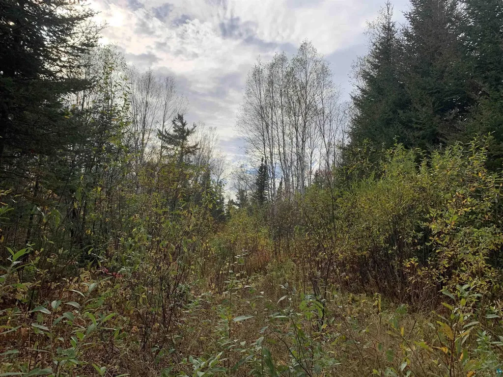 Xxb Rocky Top Trail Hovland MN 55606