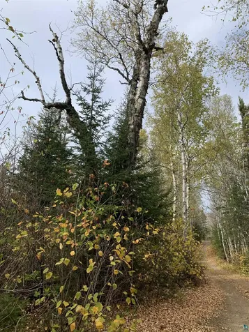 Xxb Rocky Top Trail Hovland MN 55606