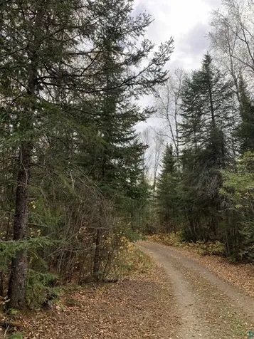 Xxb Rocky Top Trail Hovland MN 55606