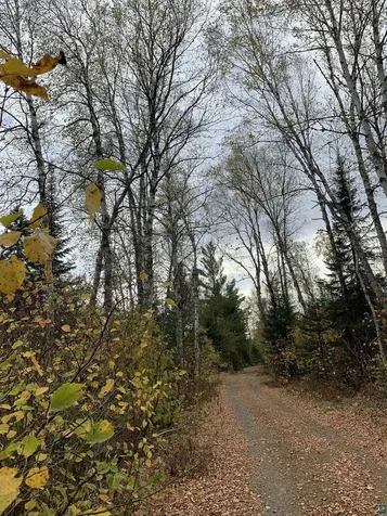 Xxb Rocky Top Trail Hovland MN 55606