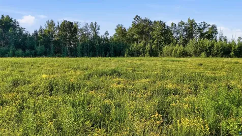 Tbd Florence Drive Moose Lake MN 55767