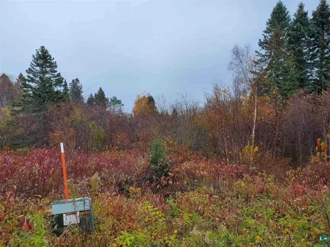4X Hoaglund Drive Tofte MN 55615
