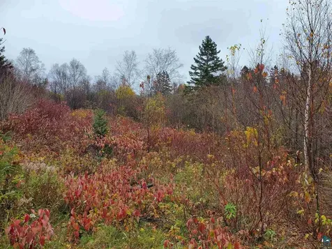 4X Hoaglund Drive Tofte MN 55615