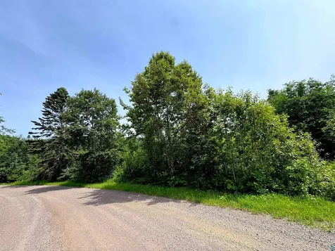 4X Hoaglund Drive Tofte MN 55615