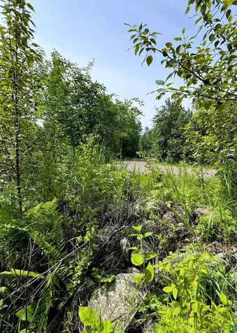 4X Hoaglund Drive Tofte MN 55615