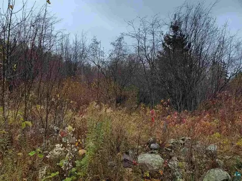 4X Hoaglund Drive Tofte MN 55615