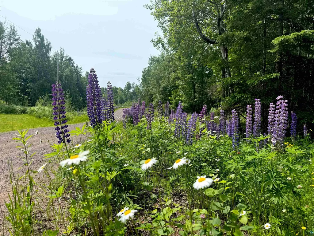 Lot 7 Snowshoe Trail Tofte MN 55615