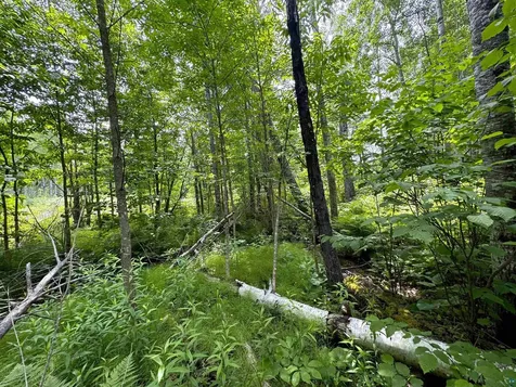 Lot 7 Snowshoe Trail Tofte MN 55615