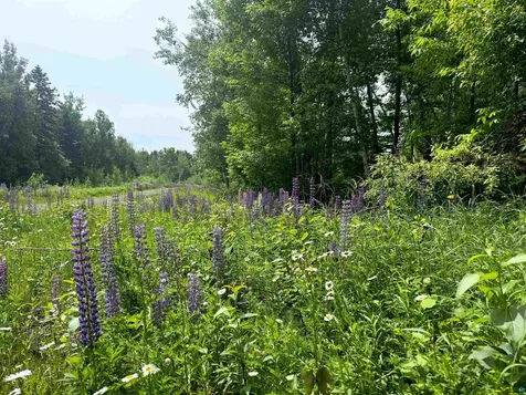 Lot 7 Snowshoe Trail Tofte MN 55615