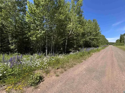 Lot 7 Snowshoe Trail Tofte MN 55615