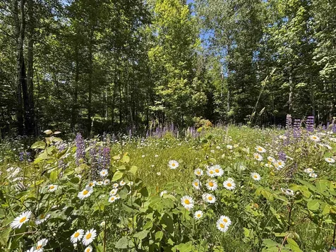 Lot 7 Snowshoe Trail Tofte MN 55615