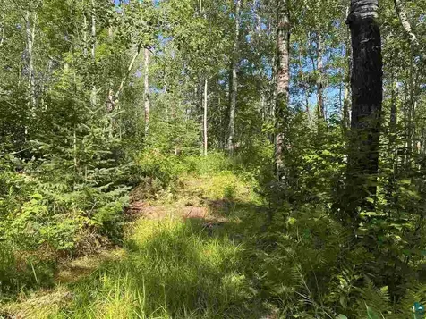 Lot 7 Snowshoe Trail Tofte MN 55615