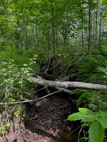 Lot 7 Snowshoe Trail Tofte MN 55615