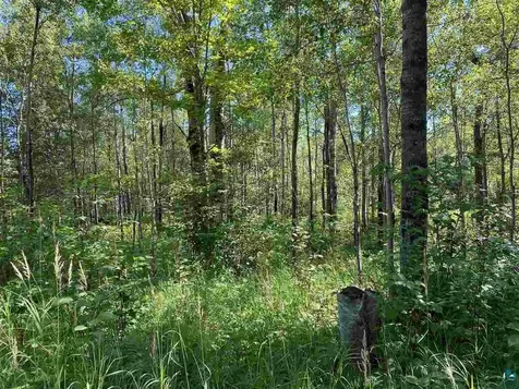 Lot 7 Snowshoe Trail Tofte MN 55615