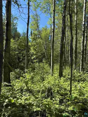 Lot 7 Snowshoe Trail Tofte MN 55615