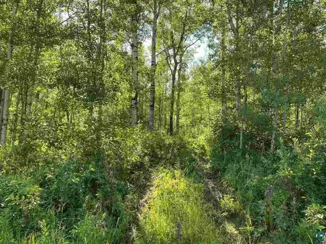 Lot 7 Snowshoe Trail Tofte MN 55615