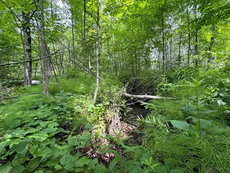 Lot 7 Snowshoe Trail Tofte MN 55615