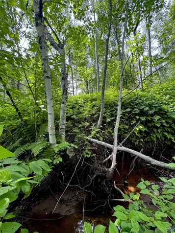Lot 7 Snowshoe Trail Tofte MN 55615