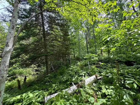 Lot 7 Snowshoe Trail Tofte MN 55615