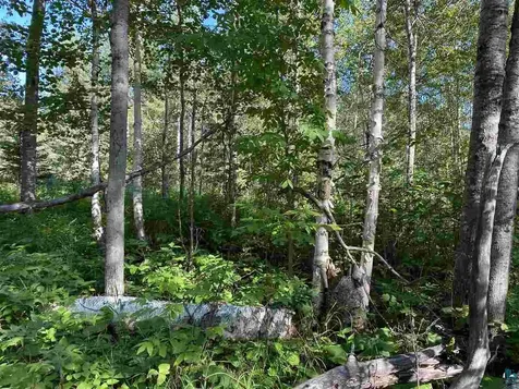 Lot 7 Snowshoe Trail Tofte MN 55615