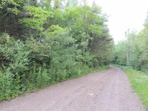 X3 Cougar Trail Grand Marais MN 55604