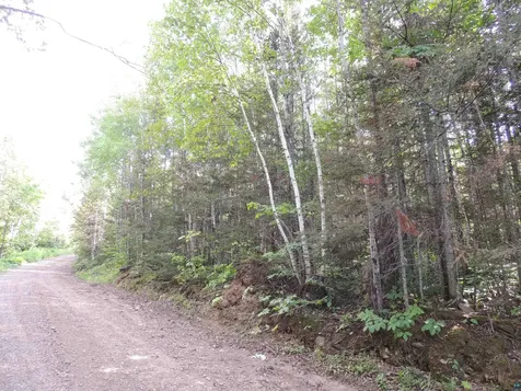 X3 Cougar Trail Grand Marais MN 55604