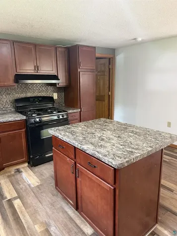 4813 S Mill Loop Road Maple WI 54854-9011