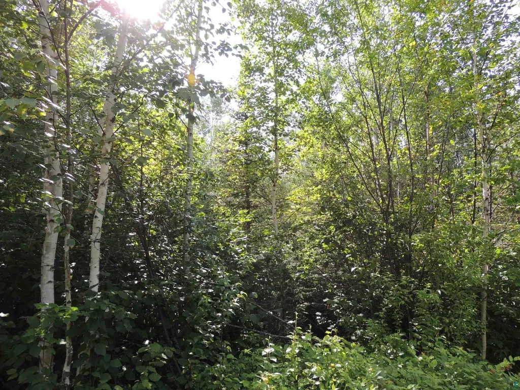 X2 Cougar Trail Grand Marais MN 55604