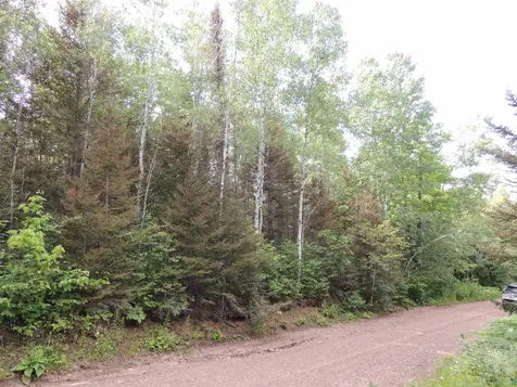 X2 Cougar Trail Grand Marais MN 55604