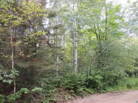 X2 Cougar Trail Grand Marais MN 55604