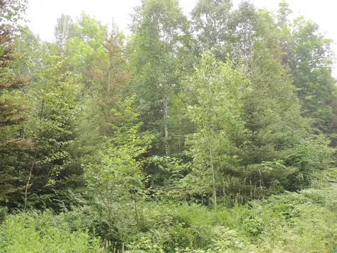 X1 Cougar Trail Grand Marais MN 55604