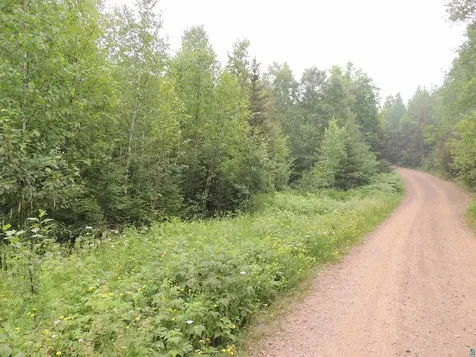 X1 Cougar Trail Grand Marais MN 55604