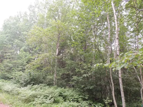 X1 Cougar Trail Grand Marais MN 55604