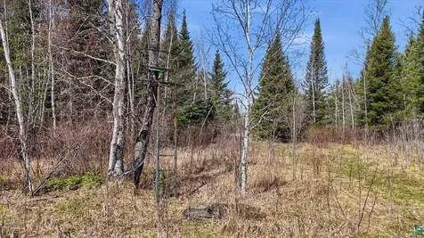 8849 Highway 25 Angora MN 55703