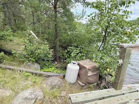 152 Sag Lake Trail Grand Marais MN 55604
