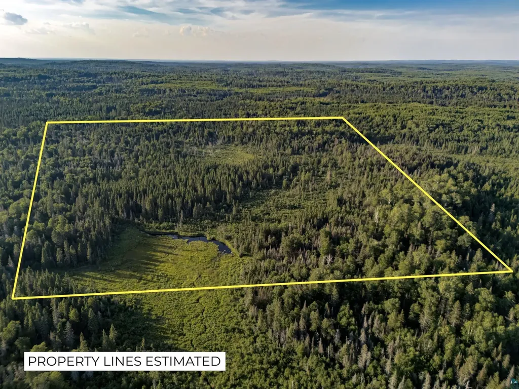 Tbd Hoist Lake Road Finland MN 55603
