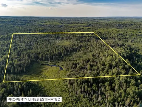 Tbd Hoist Lake Road Finland MN 55603