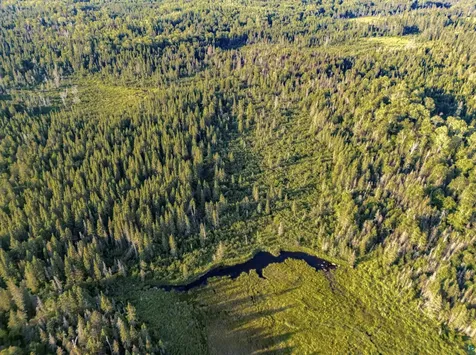 Tbd Hoist Lake Road Finland MN 55603