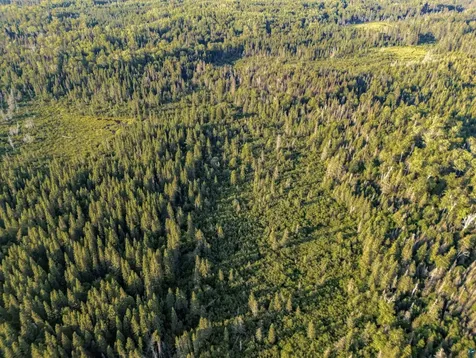 Tbd Hoist Lake Road Finland MN 55603