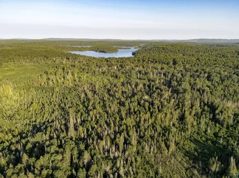 Tbd Hoist Lake Road Finland MN 55603