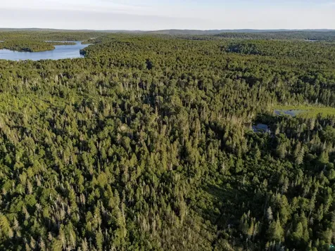 Tbd Hoist Lake Road Finland MN 55603