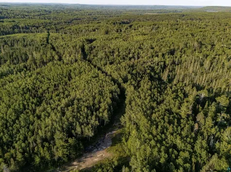 Tbd Hoist Lake Road Finland MN 55603