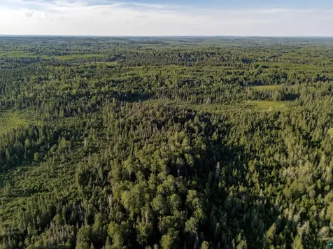 Tbd Hoist Lake Road Finland MN 55603