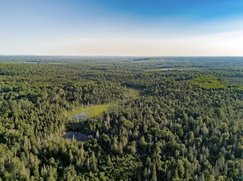Tbd Hoist Lake Road Finland MN 55603