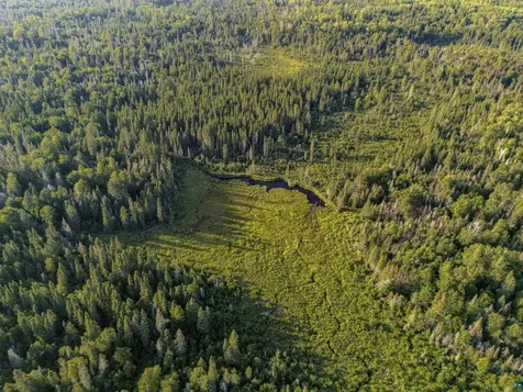 Tbd Hoist Lake Road Finland MN 55603